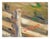 Grazing Cows - Farm Landscapeb by j.w. Ford For Sale In Monterey, CA - Image 6 of 6
