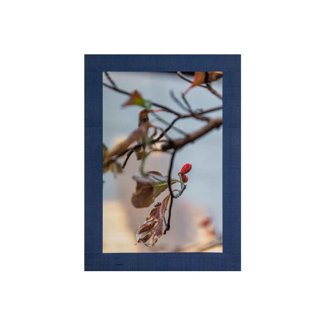 Inkjet print of digital photograph on Kakejikuya 100% kozo paper mulberry washi with silver origami backing paper, mounted...