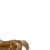 19th Century Horses Sculpture in Alabaster For Sale - Image 4 of 6