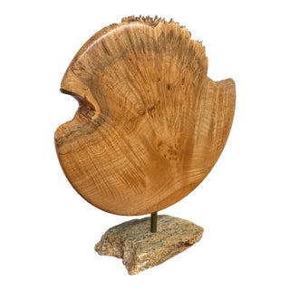 Reclaimed Live Edge Wood Sculpture + Stone Base For Sale