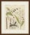 This antique botanical print from bertuch's bilderbuch shows two asian spice plants, cassia cinnamon and galangal. The...