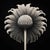 Cotula Turbinata (Mayweed Flower) No. 3 — Black and White Vintage Botanical Photography Print For Sale