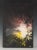 Abstract Paul Olsen Original Abstract Painting "Explosion #20" Fire Cracker Series – Vintage Expressionist Modern Art For Sale - Image 3 of 9