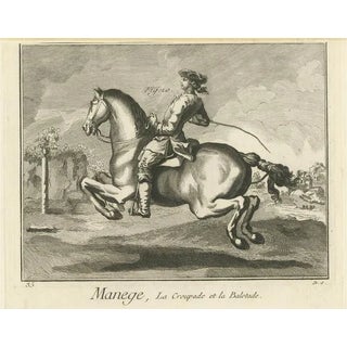Ballotade Horse Riding, 1765, Copper Engraving on Paper For Sale