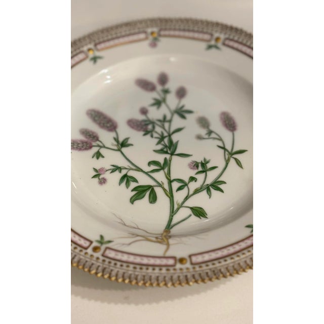 English Late 18th Century Royal Copenhagen Flora Danica Dinner Plate #20/3549 Trifolium L. For Sale - Image 3 of 8