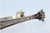 Silver Ice Tongs with Grooves and Reliefs on the Claw-Shaped Tongs, in Good conditions.