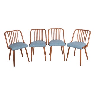 Dining Chairs attributed to Antonin Suman for Ton, 1960s, Set of 4 For Sale