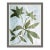 Sprig by Susan Hable For Sale