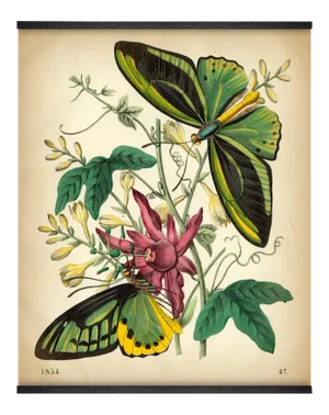 Reproduction of Antique 'Exotic Butterflies' Wall Hanging