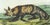Original first edition Audubon stone lithograph from "The Viviparous Quadrupeds of North America", octavo edition, printed...