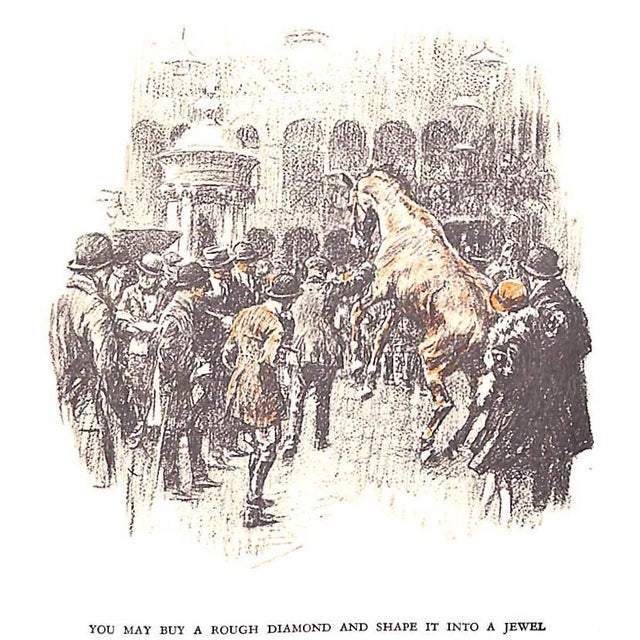 "Hard Up on Pegasus" 1931 Pollard, Hugh b.c. For Sale - Image 12 of 12