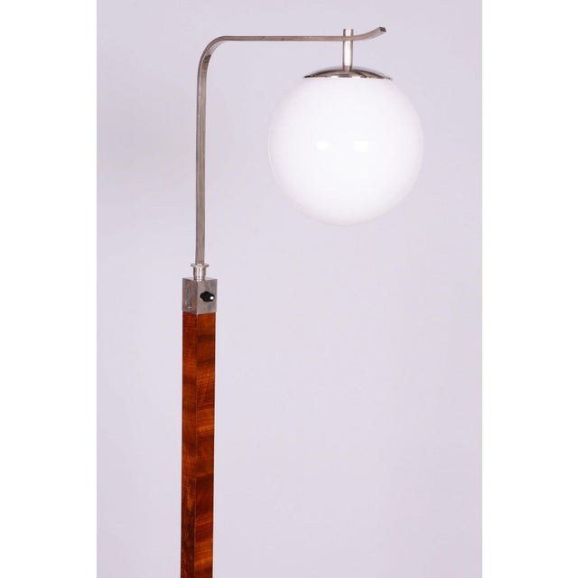 Art Deco Floor Lamp in Walnut with Chrome-Plated Steel and Glass, Czechia, 1930s For Sale - Image 6 of 12