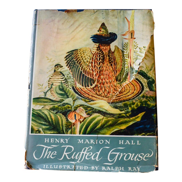 "The Ruffed Grouse" — Henry Marion Hall — First Edition 1946 — Oxford University Press — Illustrated by Ralph Ray For Sale