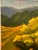 Landscape oil painting on canvas was painted en plein aire (in the open air, onsite) in Bath County VA at Ft Lewis Farm....
