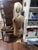 He was Rescued from a general store on a plantation in south Louisiana. I could go on and on about this handsome guy but I...