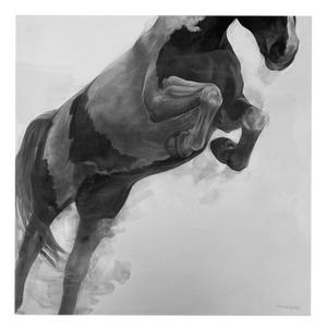 Patsy McArthur, Gateway, Jumping Horse, Charcoal on Panel, 2017