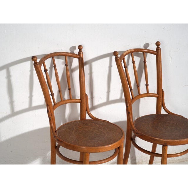 Antique set of 2 bentwood thonet style chairs, central european furniture from the vienna secession originating from...
