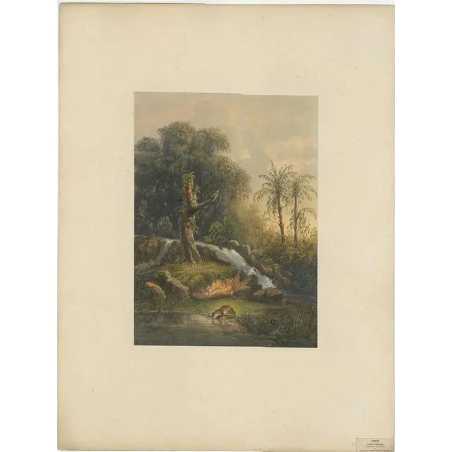 Wild Landscape with Waterfall and Jungle Life on Java, 1872, Lithograph on Paper For Sale - Image 4 of 10