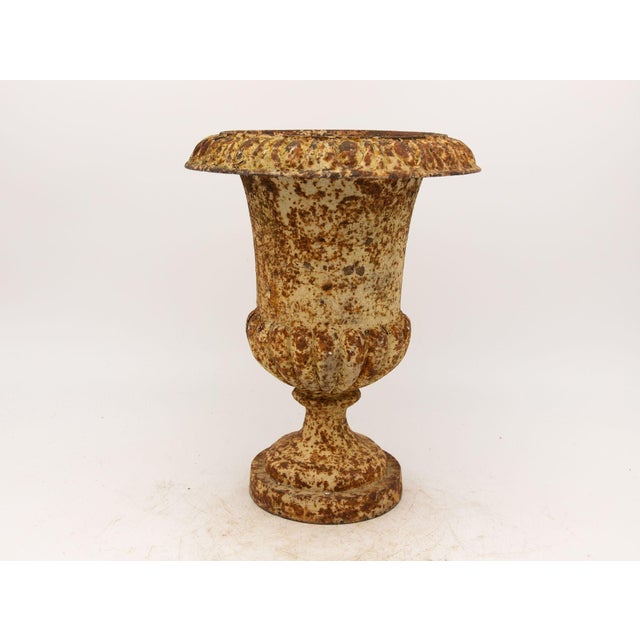 Single Rusty Cast Iron Urn, French Early 20th Century For Sale In New York - Image 6 of 10