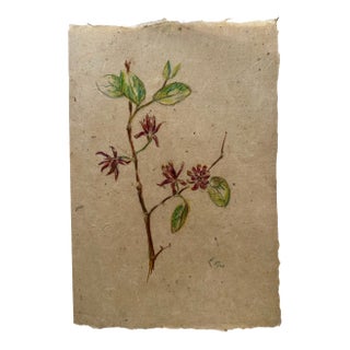 Henry Emil Salloch Original Watercolor on Paper Botanical Study of a Sweetbrush Branch, 1941. For Sale