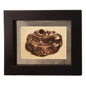 Snake Sketch From "Peinture & dessins de Paul Jouve"
