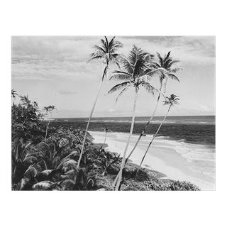 1964 Barbados Beach Tropical Photograph For Sale