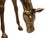 Large Brass Horses from Apko Superbrass, Holland, 1970s, Set of 2 For Sale - Image 12 of 14
