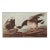1966 Vintage Cottage XL Print "Brent Goose" After John James Audubon For Sale