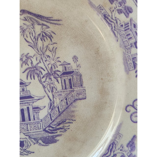 Staffordshire Chusan Pattern Plate from Clementson For Sale - Image 6 of 12