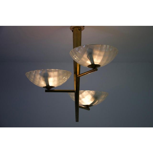1950s Italian Brass and Glass Chandelier, 1950s For Sale - Image 5 of 18