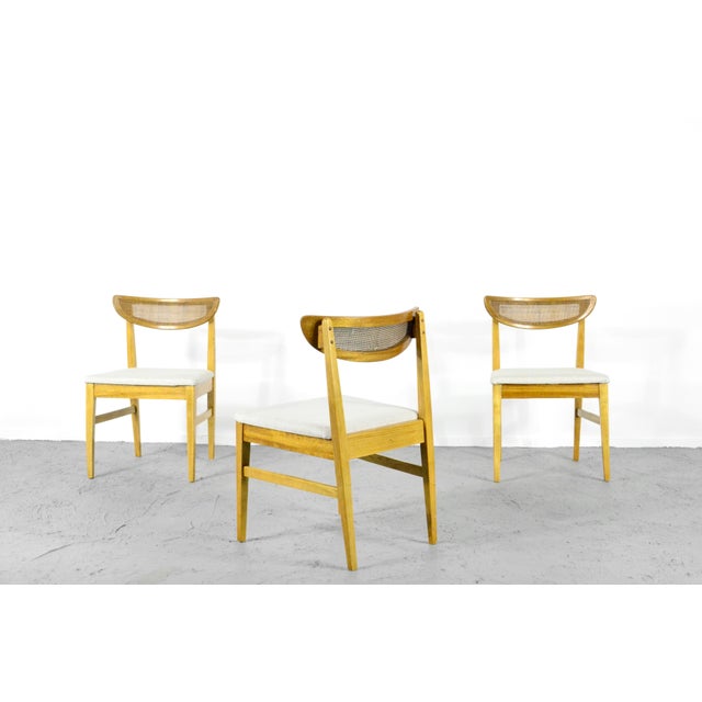 White Vintage Teak and Cane Bergere Chairs, Set of 4 For Sale - Image 8 of 8