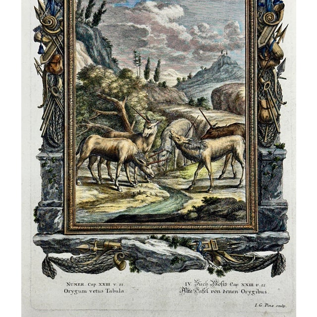 Religious Antelopes Original Print by Johann Jakob Scheuchzer, 1731 For Sale - Image 3 of 4