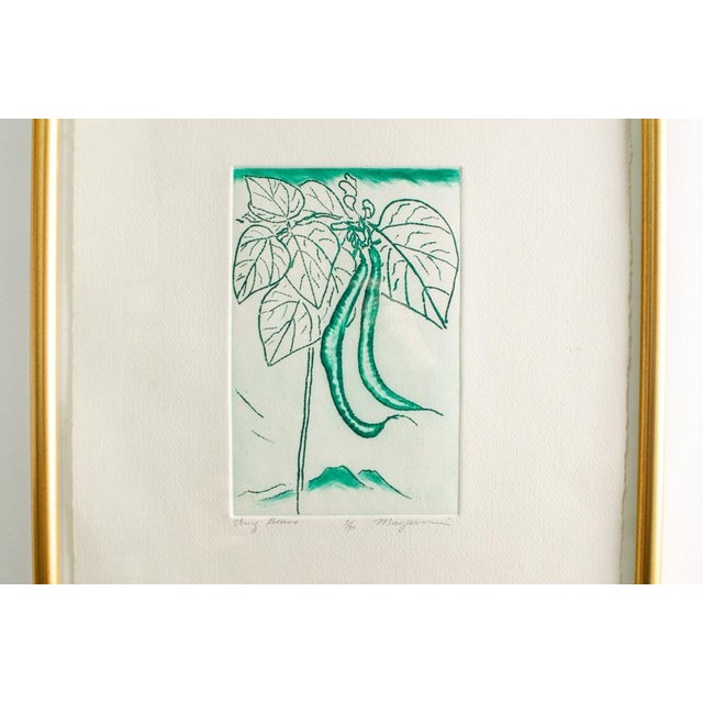Original, signed Mayumi Oda etching of a string bean plant with a view of the mountains in the background. Green beans...