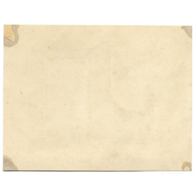 James Holland OWS, Morning Glory & Marguerite Daisy Flower, 1825, Watercolour For Sale - Image 3 of 4