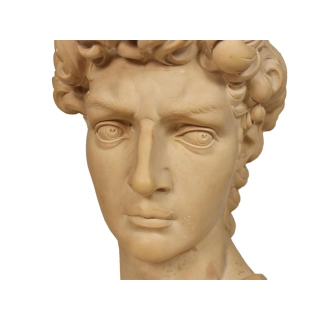 Cream Late 20th Century Italian Bust of David After Michelangelo Made Signed Ennio Furiesi Sculpture For Sale - Image 8 of 13