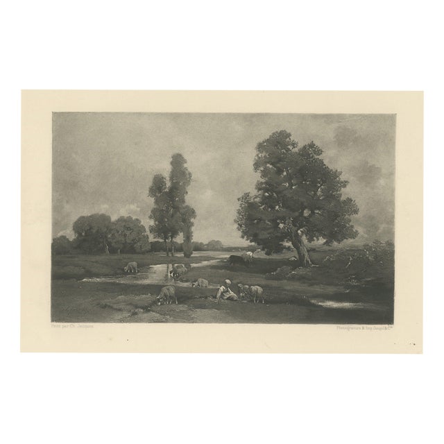 After Charles-Émile Jacque, A Rivulet, Barbizon Pastoral Landscape, 1880, Engraving For Sale