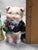 Ceramic 1950s Vintage Py Japan Pig Couple Salt Pepper Shakers For Sale - Image 7 of 13