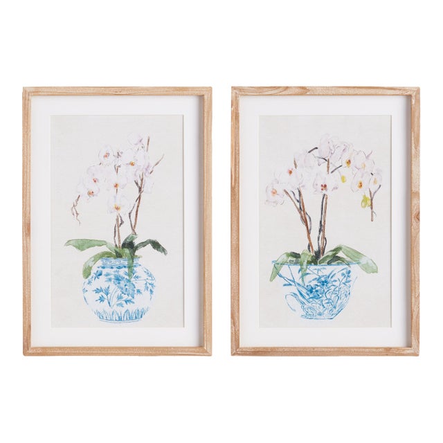 Potted Phalaenopsis Prints, Set Of 2 For Sale