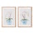 Potted Phalaenopsis Prints, Set Of 2 For Sale