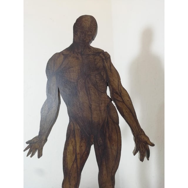 19th Century Anatomical Model of the Human Body, Italy, 1890s For Sale - Image 4 of 11