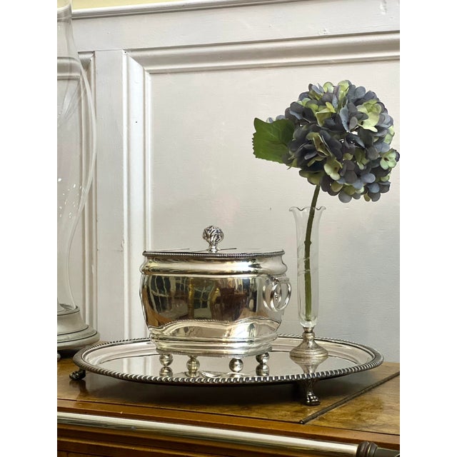 19th Century George III Silverplated Tea Caddy For Sale - Image 12 of 12