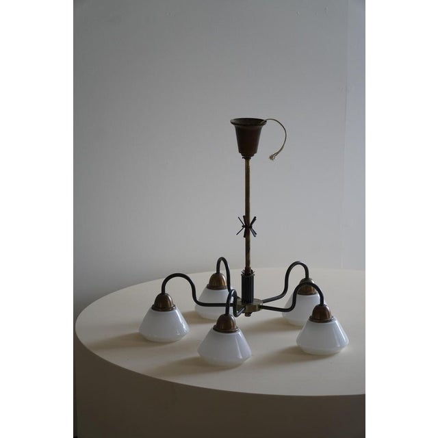 1940s Danish Modern Five-Headed Chandelier in Opal Glass and Brass, 1940s For Sale - Image 5 of 18