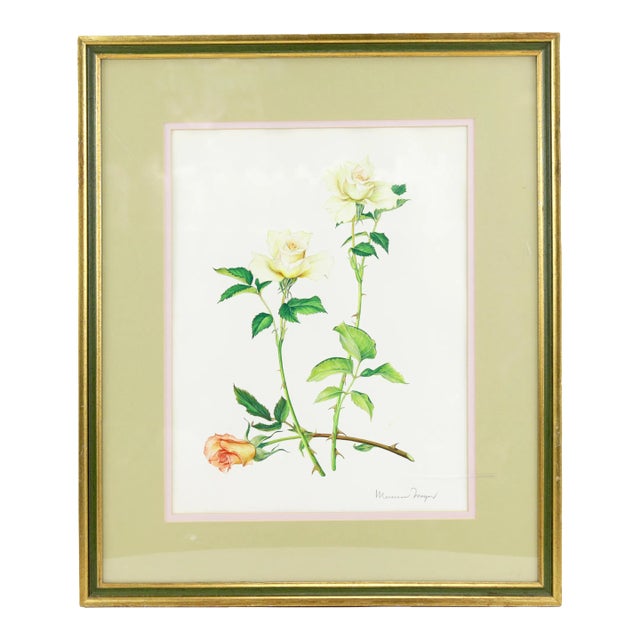 Vintage Hand-Painted Plant Specimen Watercolor "Gold Medal" Yellow Rose (With Frame). Signed in the Lower Right Corner For Sale