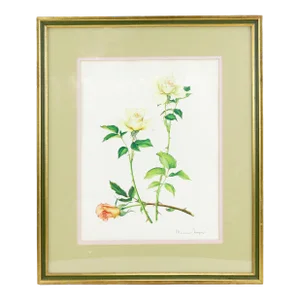 Vintage Hand-Painted Plant Specimen Watercolor "Gold Medal" Yellow Rose (With Frame). Signed in the Lower Right Corner