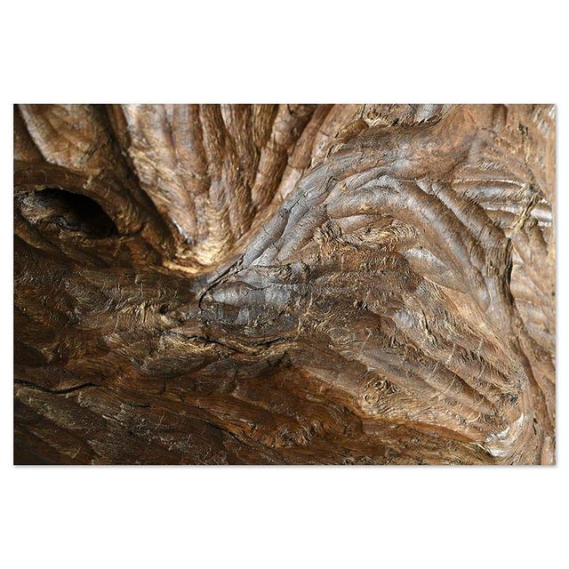 Wood Carved Teak Root Sculpture For Sale - Image 7 of 8