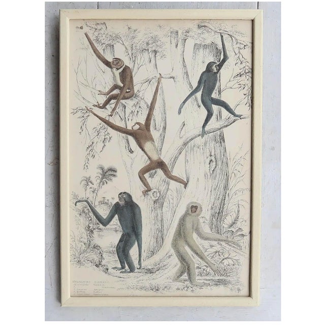 Hand coloured lithographs after drawings by Captain Brown