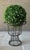 Late 20th-Century Fil De Fer Victorian-Style Wirework Urn-Shaped Planter For Sale - Image 13 of 18