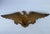 1960s Vintage Sexton Cast Metal American Eagle & Shield Wall Plaque For Sale - Image 4 of 9