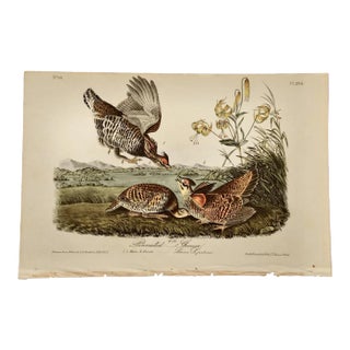 Audubon "Pinnated Grouse", an Original Audubon Hand-Colored First Edition Lithograph, 1840 For Sale