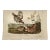 Audubon "Pinnated Grouse", an Original Audubon Hand-Colored First Edition Lithograph, 1840 For Sale